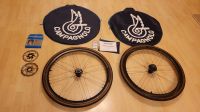 Campagnolo Shamal Carbon C21 Rennrad Laufräder Shimano HG 8-11 Rheinland-Pfalz - Dexheim Vorschau