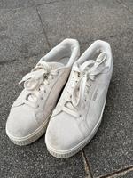 Beige Puma‘s Bayern - Ottobeuren Vorschau