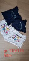 4x t shirts zwillinge Sachsen-Anhalt - Halle Vorschau