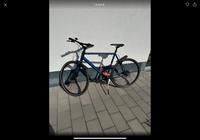 Top Zustand Tourenrad mit Nabenschaltung Alfina 60 cm Bielefeld - Joellenbeck Vorschau