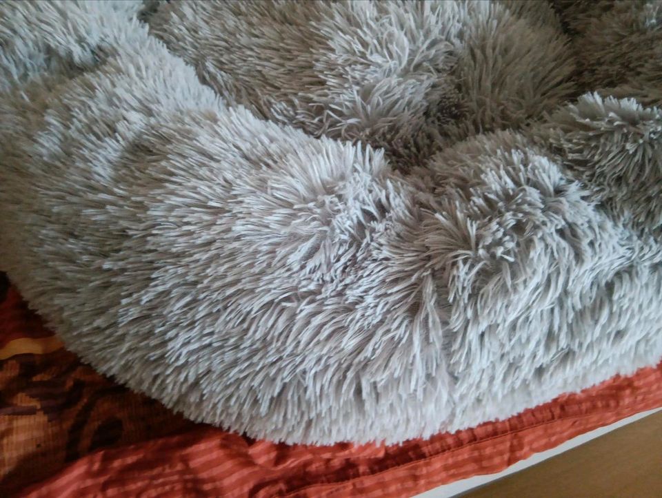 Hund/Katzen Bett in Schmallenberg