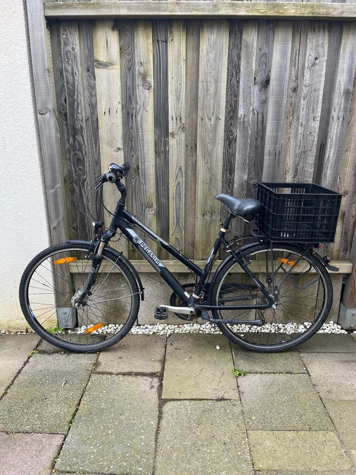Pegasus Fahrrad schwarz in Düsseldorf