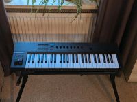 Native Instruments A49 - Midi-Keyboard - Kontakt - Maschine München - Pasing-Obermenzing Vorschau