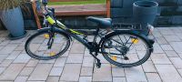 Bergsteiger Fahrrad Sydney 24 Zoll Nordrhein-Westfalen - Lennestadt Vorschau