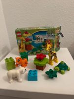 Lego Duplo 10801 Zoo Babys 2-5 Jahre OVP Niedersachsen - Wittingen Vorschau