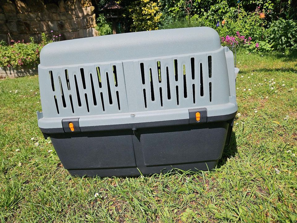 Hundetransportbox von Trixi in Spelle