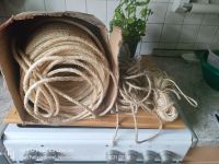 Sisa-Seil ist für eure Katzen da! Niedersachsen - Bad Fallingbostel Vorschau