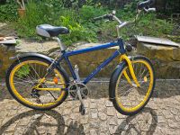 Gelb-blaues Trekkingrad 45 cm Berlin - Pankow Vorschau