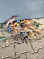 Dinosaurier Sammlung Baden-Württemberg - Oberstenfeld Vorschau