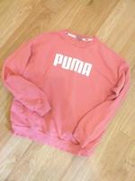 Puma Pulli gr.M Nordrhein-Westfalen - Herford Vorschau