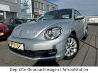 Volkswagen Beetle Lim. Basis SHZ PDC S-HEFT GARANTIE Nordrhein-Westfalen - Kall Vorschau