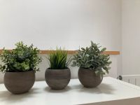 Kunstpflanze Kunstblume Niedersachsen - Meine Vorschau
