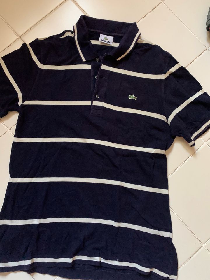 Lacoste SHIRT in Willingshausen