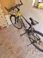 Fahrrad zu verkaufen Hessen - Immenhausen Vorschau