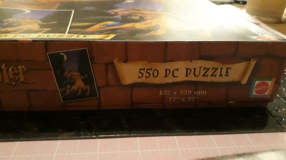 Harry Potter Puzzle in Erfurt