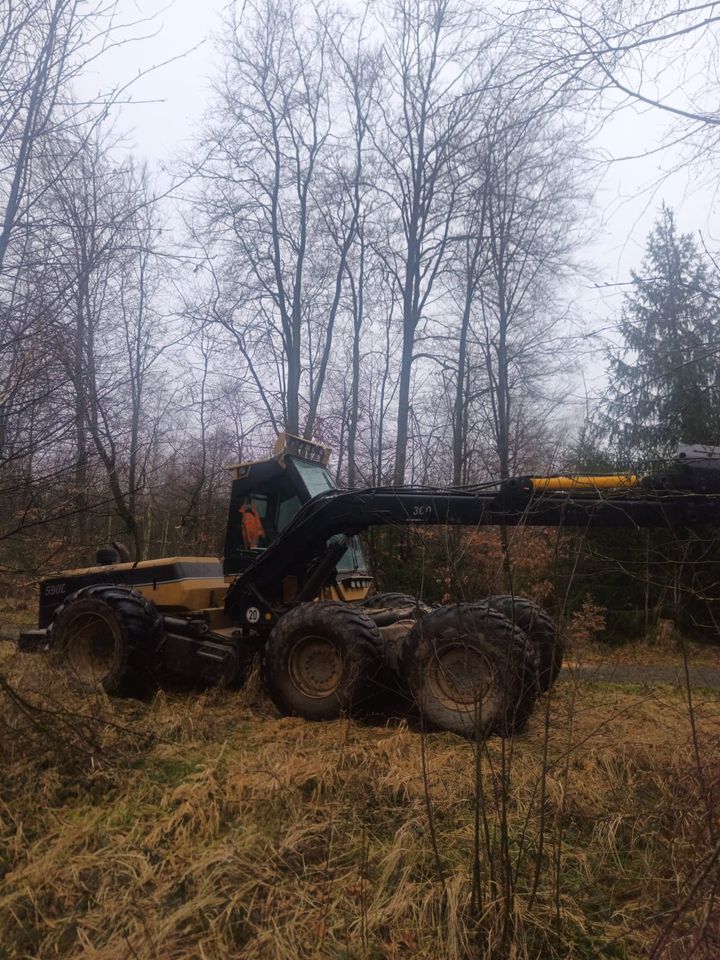 Harvester Forstmaschine Eco Log 590D Ecolog in Burbach