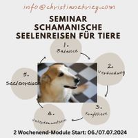 Ausbildung Schamanische Seelenheilreisen für Tiere Beginn 6.7. Schleswig-Holstein - Ahrensburg Vorschau