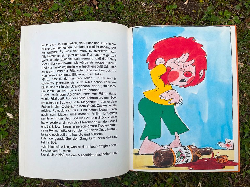 Pumuckl Vintage Buch Vorlesen 80er 1980 Meister Eder Schwager in Gallmersgarten
