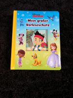 Buch Mein großer Vorleseschatz Micky Maus Prinzessin Sofia Nordrhein-Westfalen - Schloß Holte-Stukenbrock Vorschau