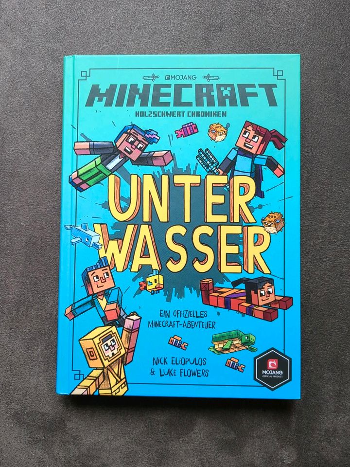 Minecraft Abenteuer Buch, unter Wasser, Holzschwert Chroniken in Leopoldshöhe