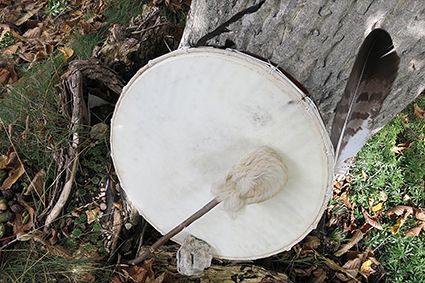 Begegnung mit dem Krafttier in Weiden (Oberpfalz)