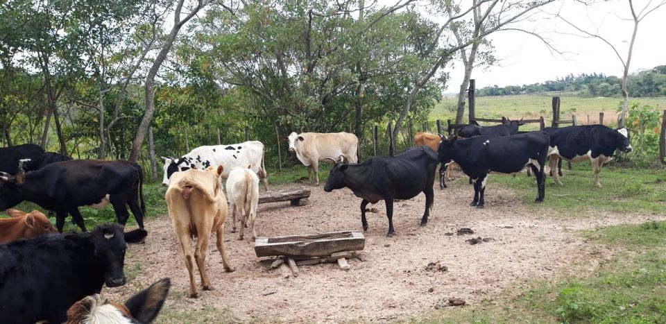 40 Ha. Grundstück in General Artigas Departamento Itapua Paraguay in Zossen-Zesch am See