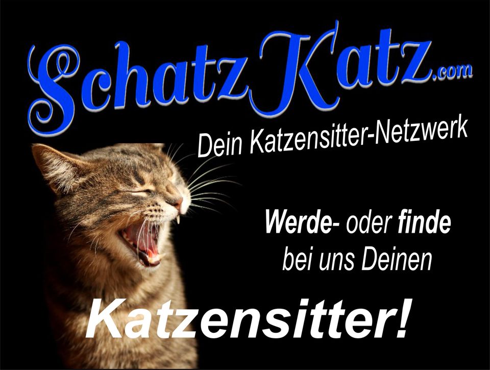 Nürnberg: Nebenjob als Catsitter by SchatzKatz - Tierbetreuung! in Nürnberg (Mittelfr)