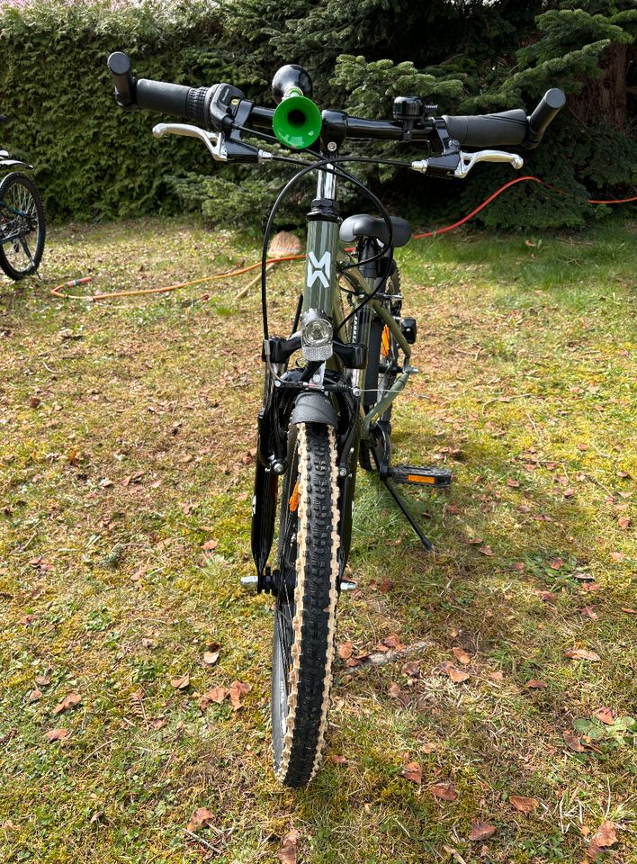 Maxim Sporty 3, 20 Zoll, iguana green, 30 cm Radgröße in Augsburg