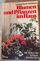 Blumen und Planzen im Haus Hessen - Niestetal Vorschau