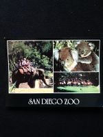 Postkarte/Ansichtskarte Tierpark, Zoo,USA, San Diego Schleswig-Holstein - Bad Bramstedt Vorschau