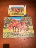 Puzzle Ravensburger ab 6 Jahre Pferde Baden-Württemberg - Konstanz Vorschau