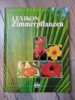 Lexikon Zimmerpflanzen Nordrhein-Westfalen - Warendorf Vorschau