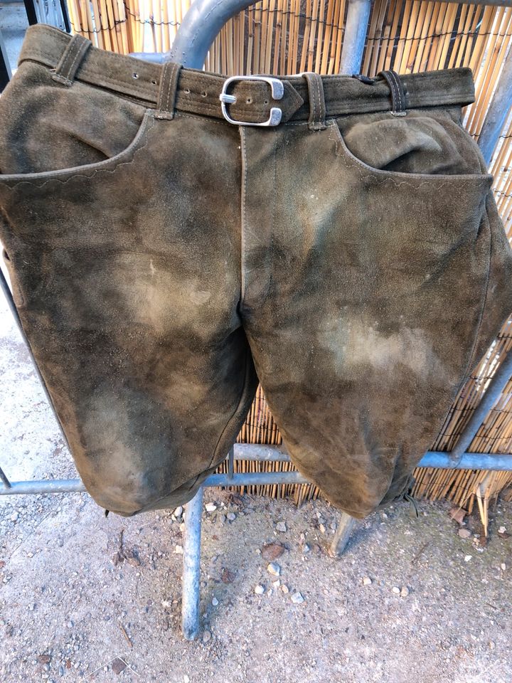 Wildlederhose kurze Jäger-Lederhose Jagdhose Eduard Kettner Jagd in Weimar