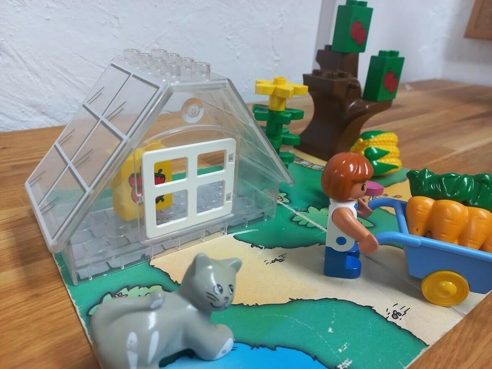 Lego Duplo 3088 Mein kleiner Garten mit Gewächshaus komplett in  Nordrhein-Westfalen - Düren | Lego & Duplo günstig kaufen, gebraucht oder  neu | eBay Kleinanzeigen ist jetzt Kleinanzeigen