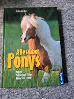 Alles über Ponys / Buch Kreis Pinneberg - Schenefeld Vorschau