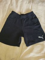 Puma Jungen Shorts 164 kurze Hose Schwarz Niedersachsen - Northeim Vorschau