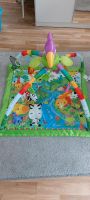 Farbenfroher Spielbogen Baby Fisher Price Thüringen - Hermsdorf Vorschau