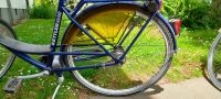 ★ KETTLER Alu-Rad City-Cruiser Damen Fahrrad Einkaufskorb 28 Zoll Nordrhein-Westfalen - Witten Vorschau