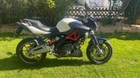 Aprilia Shiver 750 ccm Baden-Württemberg - Kirchheim am Neckar Vorschau