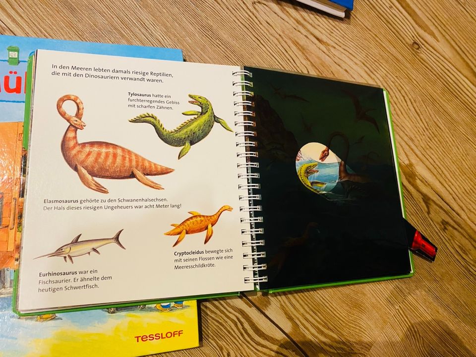 Kinderbücher Klappbuch in Panitzsch