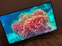 Samsung fernseher 48 zoll tv Sachsen - Meißen Vorschau