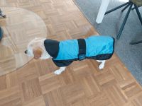 Hundemantel Jacke für Hunde wasserfest regenabweisend Hessen - Langgöns Vorschau