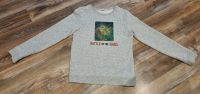 H & M Sweatshirt Gr. 134 140 grau Dino Dinosaurier 3D Bild Hessen - Hanau Vorschau