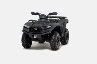 TGB Blade 550X LOF, Malachid-grün matt, ATV Quad, Neumaschine TOP Niedersachsen - Apen Vorschau