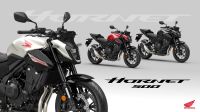 Honda CB500 Hornet 2024 *jetzt vorbestellen* HONDA DEALZ Baden-Württemberg - Winnenden Vorschau