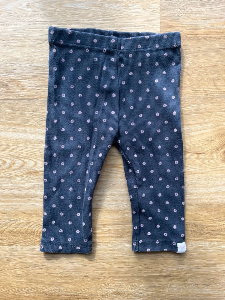 Babykleidung Hosen Größe 62/68 Mädchen Leggings in Schwerin