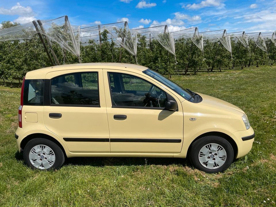 Fiat Panda 1.2 (60PS) in Ravensburg