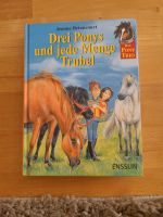 Drei Ponys und jede Menge Trubel Buch Niedersachsen - Lachendorf Vorschau