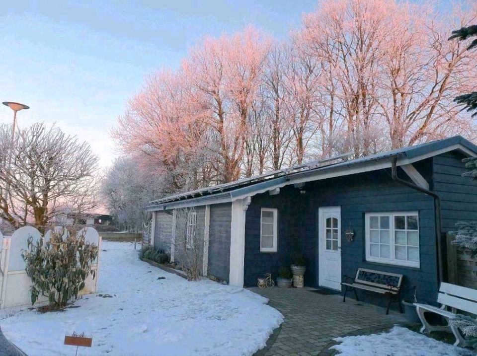 Ferienhaus Nordsee u. Ostsee mit Hund an der dänischen Grenze in Ladelund