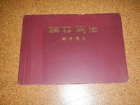 Katalog eines chinesischen Künstlers von 1957 Pankow - Prenzlauer Berg Vorschau